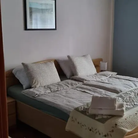 Apartma Zele *