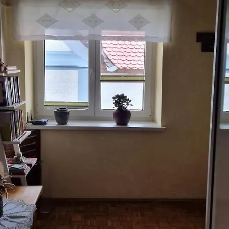 Apartma Zele
