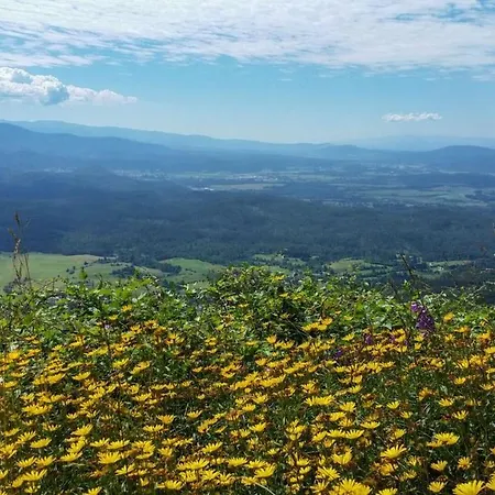 Apartma Zele Апартаменты *