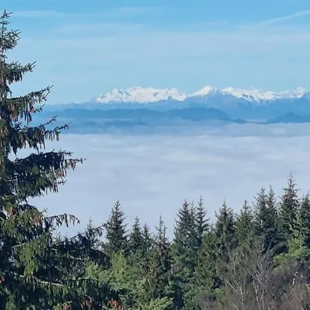 Apartma Zele * Postojna