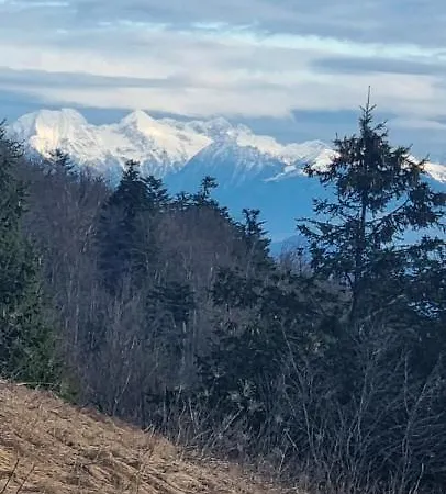 Апартаменты Apartma Zele