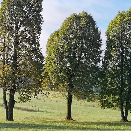 Апартаменты Apartma Zele