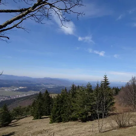 Апартаменты Apartma Zele *