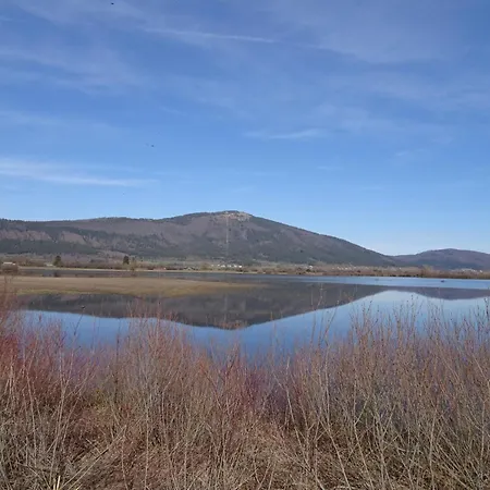 Apartma Zele Постойна