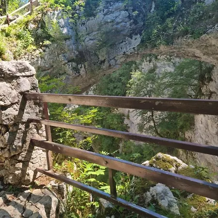 Apartma Zele Apartment