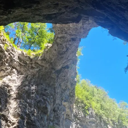 Apartment Apartma Zele *