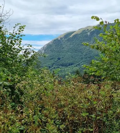 Apartma Zele Апартаменты *