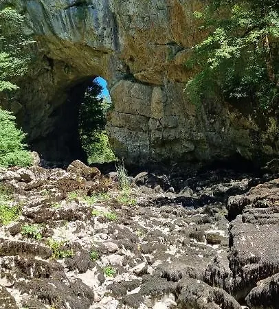 Apartma Zele Постойна