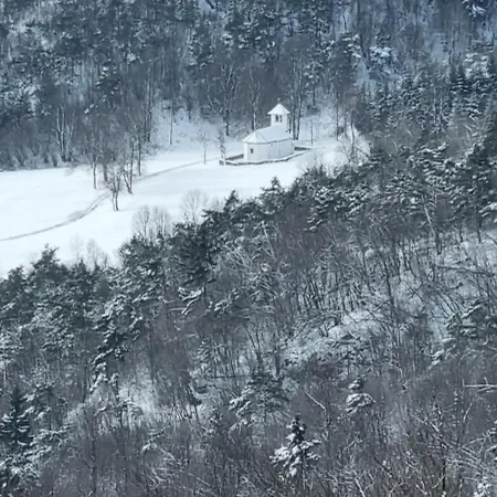 Апартаменты Apartma Zele *