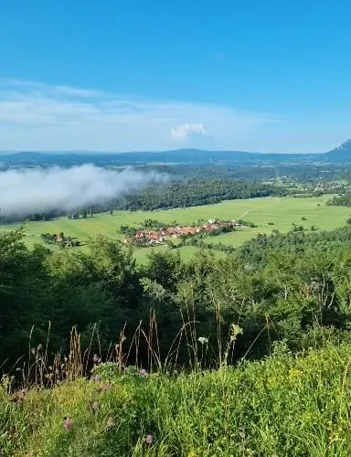 아파트 Apartma Zele *