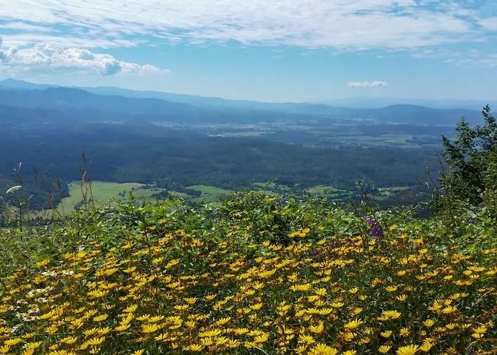 Apartma Zele Apartment *