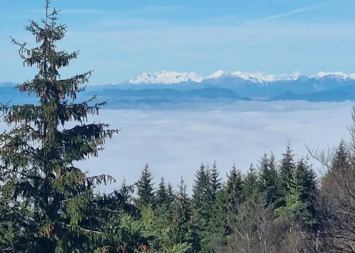 Apartma Zele * 포스토이나