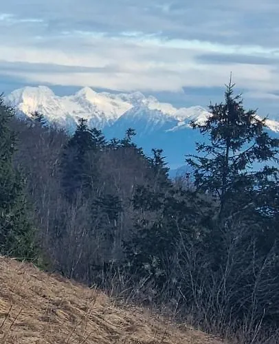 아파트 Apartma Zele