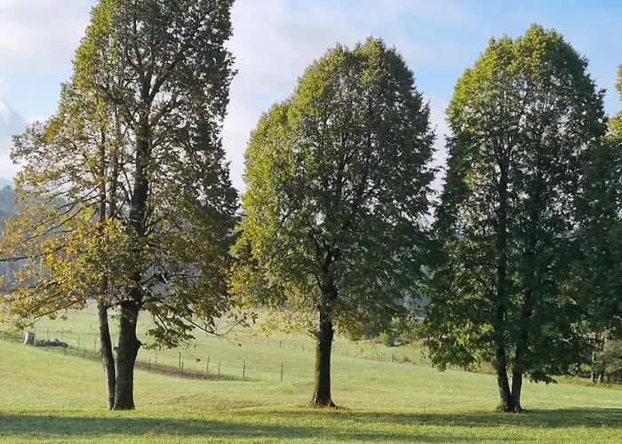 아파트 Apartma Zele