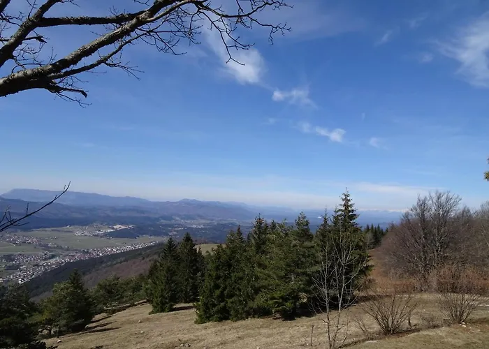 아파트 Apartma Zele *