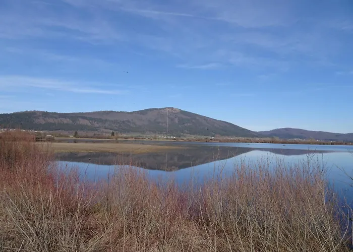 Apartma Zele 포스토이나