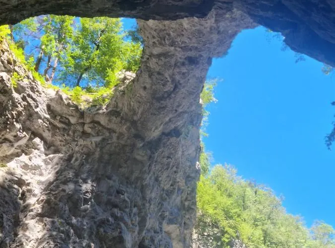 아파트 Apartma Zele *