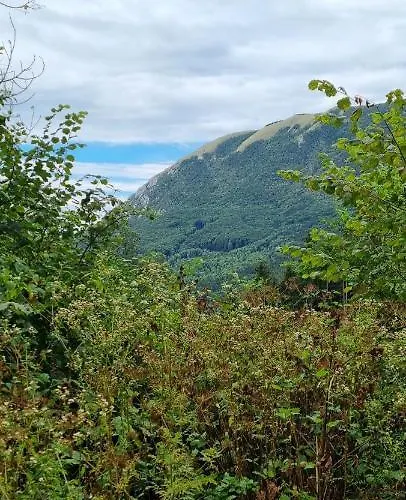 Apartma Zele 아파트 *