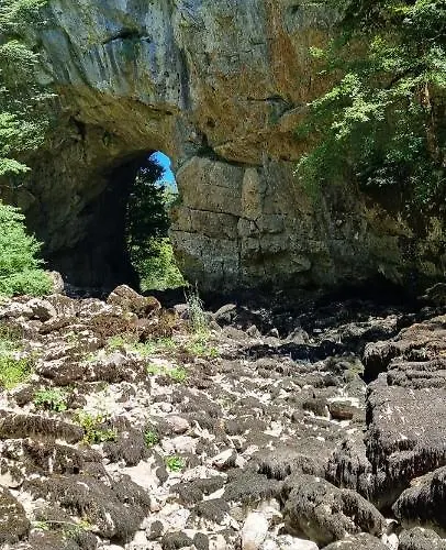 Apartma Zele 포스토이나