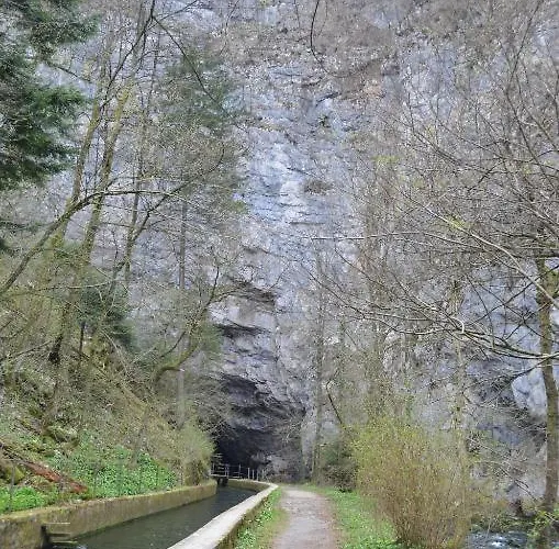 Apartma Zele 아파트 포스토이나